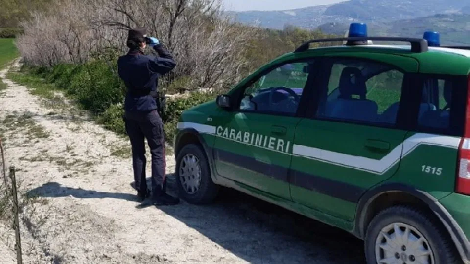 i Carabinieri Forestali