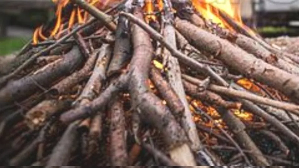 repertorio