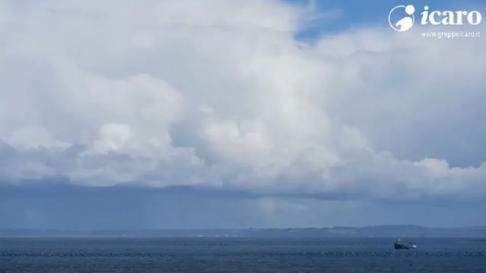 meteo
