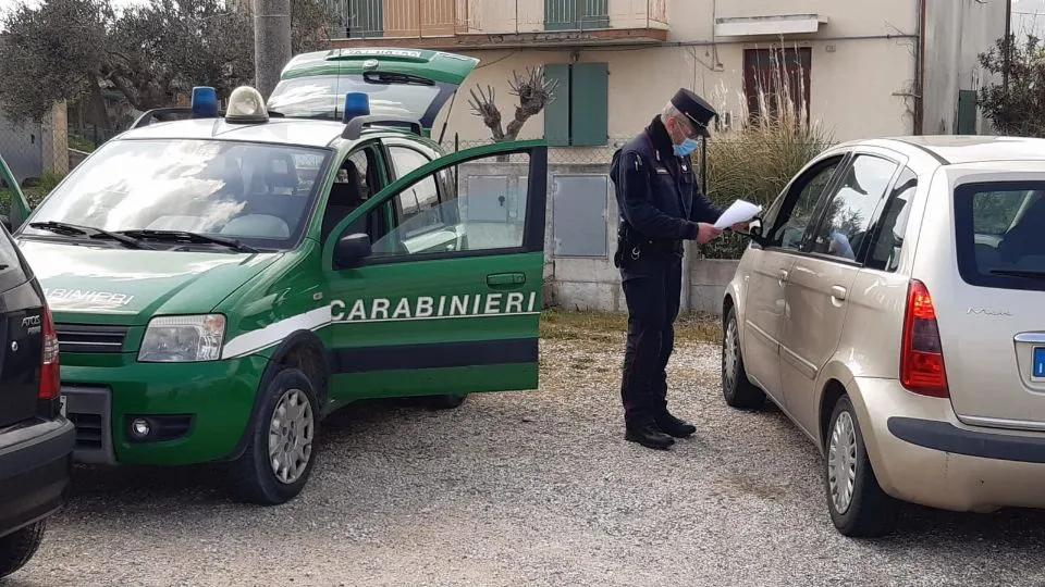 I controlli dei forestali