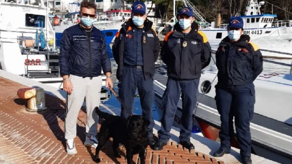 il cane e i soccorritori

