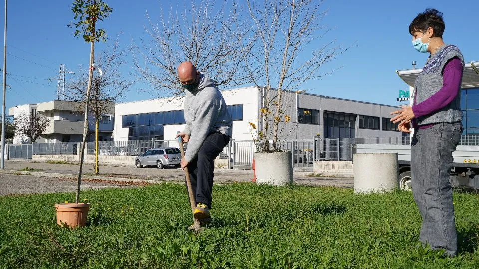 il primo albero