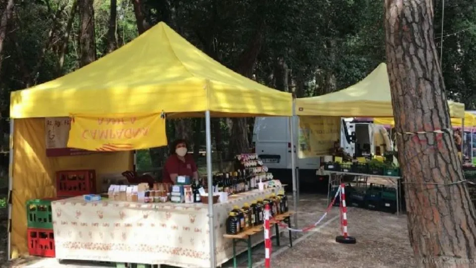 il mercato