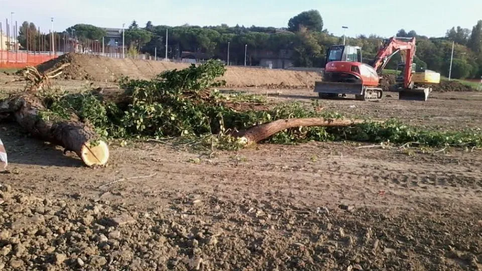il parco degli Olivetani