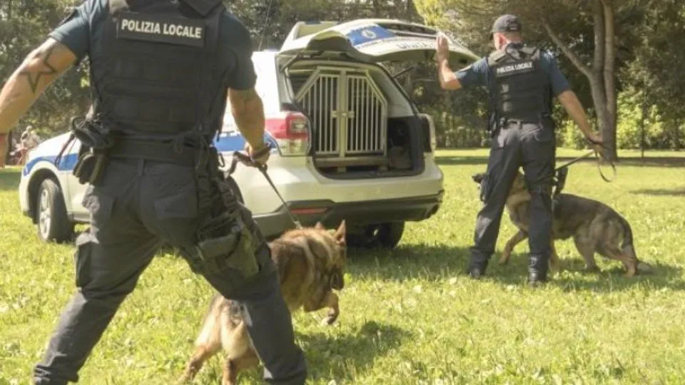 i cani antidroga (repertorio)