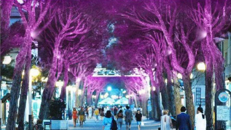 viale Ceccarini