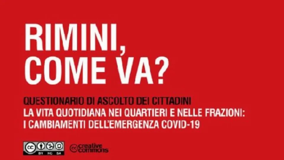 il questionario