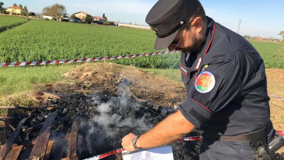 carabinieri forestali Rimini