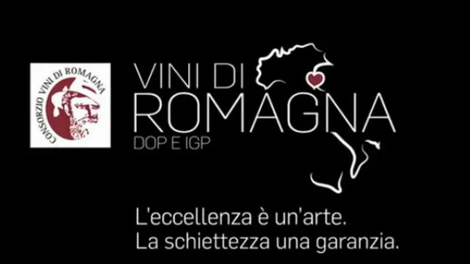 Vini di Romagna