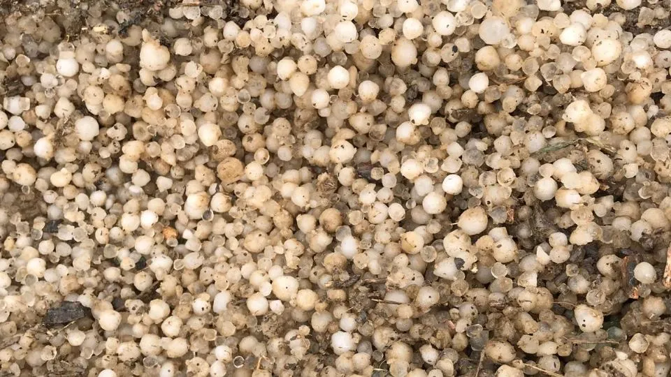 la grandine caduta nei giorni scorsi