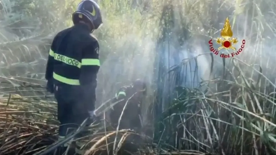 i Vigili del Fuoco sul posto