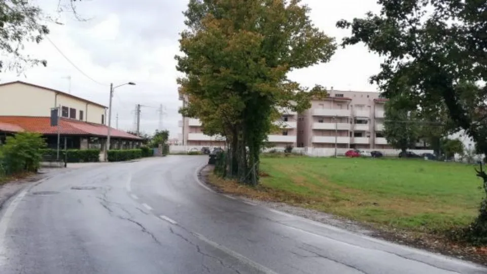 l’area interessata

