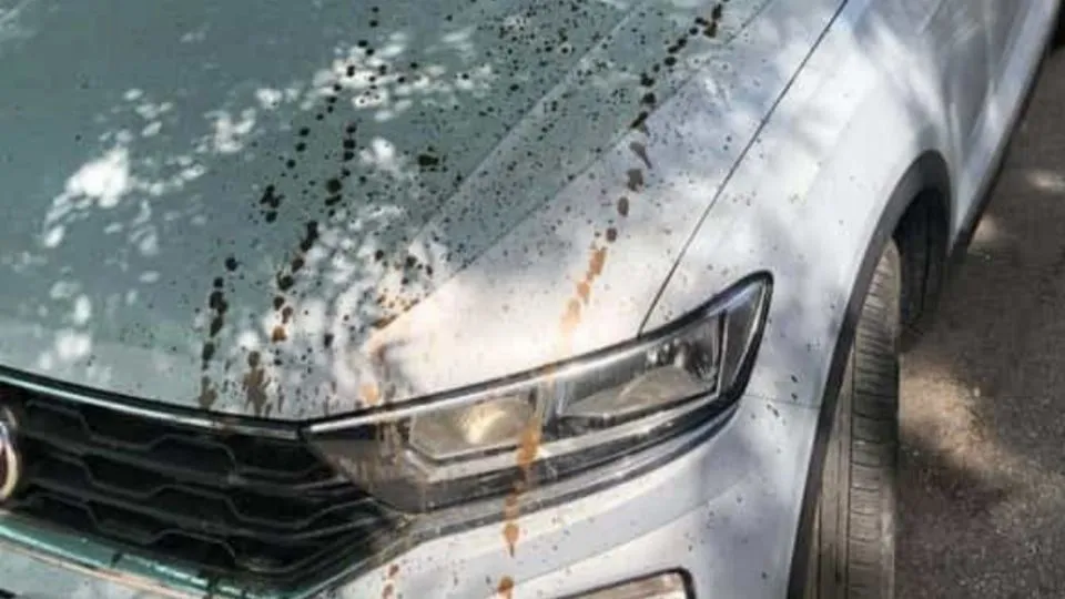 una delle auto imbrattate
