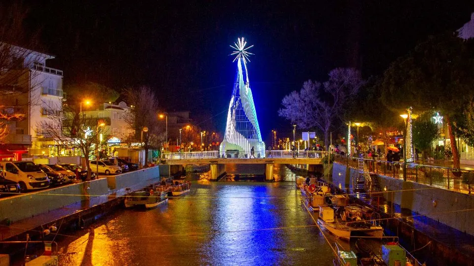 l’albero sul ponte di viale Dante