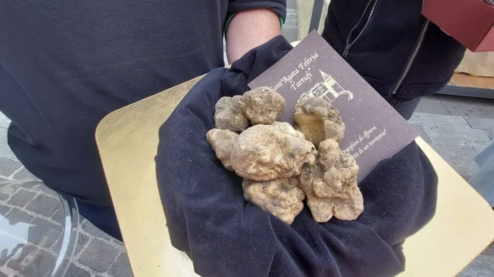 il tartufo presente in fiera