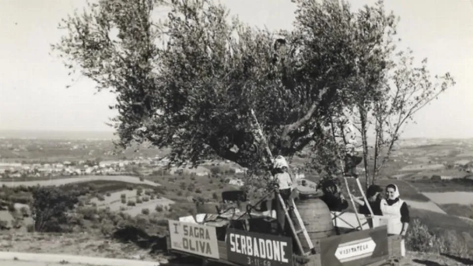 d’archivio