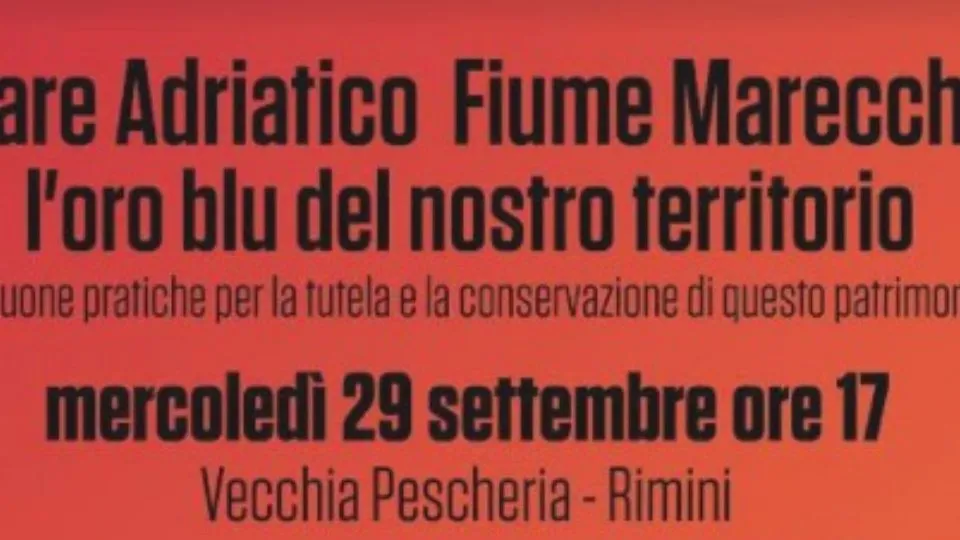dalla locandina