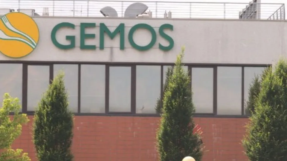 la sede Gemos
