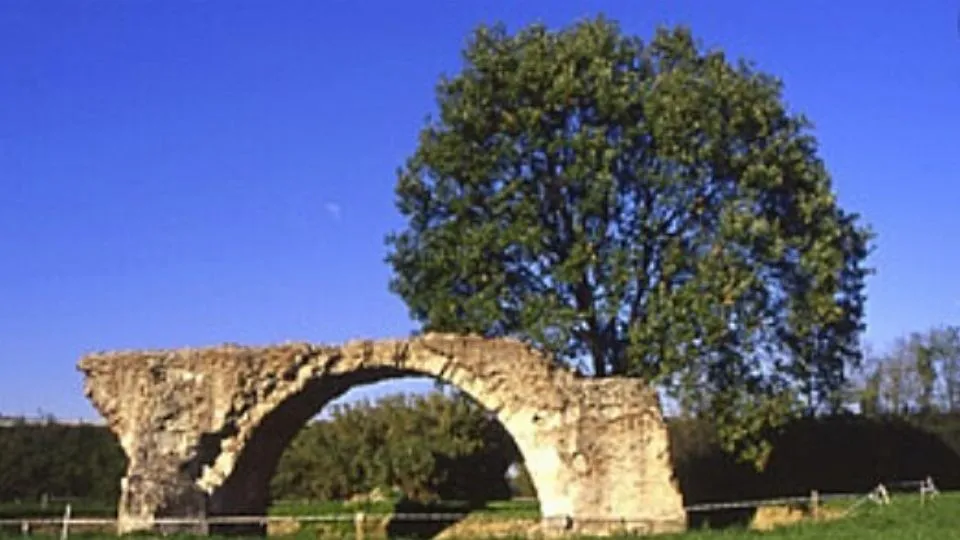 il ponte di San Vito (@ilponte)
