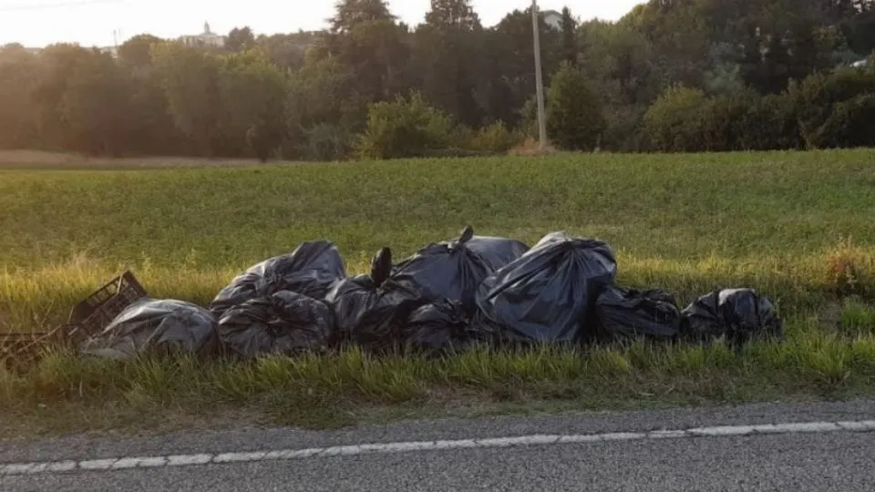 rifiuti abbandonati a Misano
