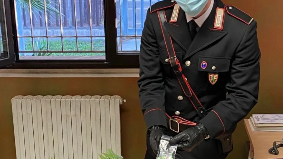 la droga sequestrata
