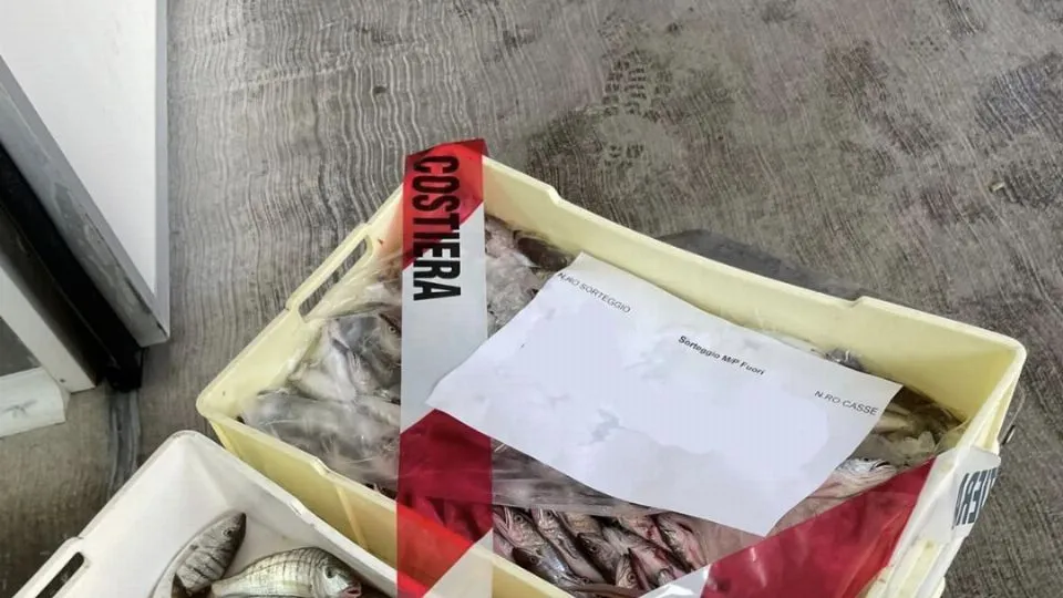 il pesce sequestrato