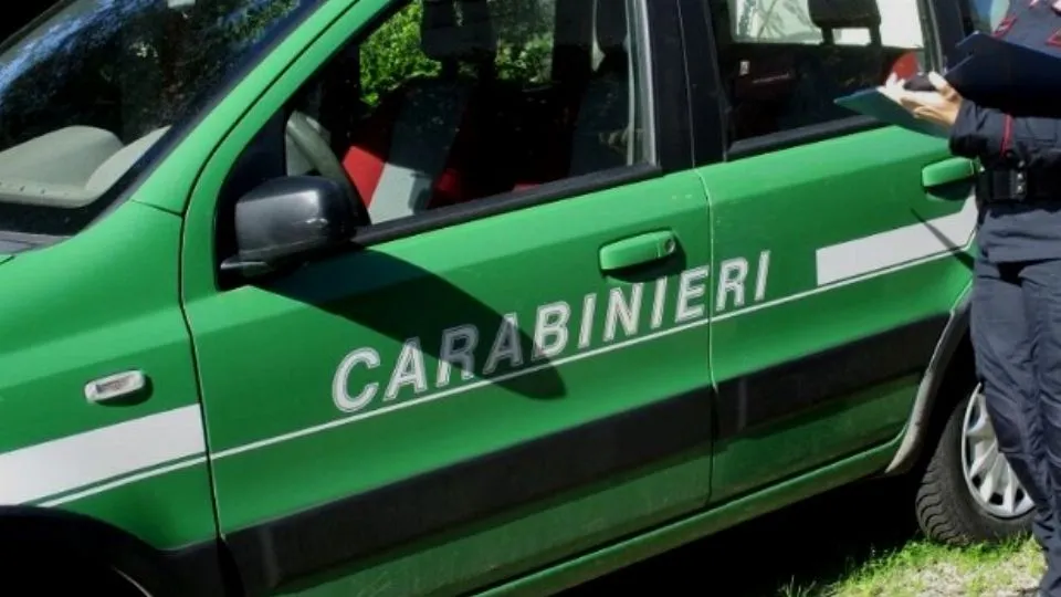 una pattuglia dei carabinieri Forestali