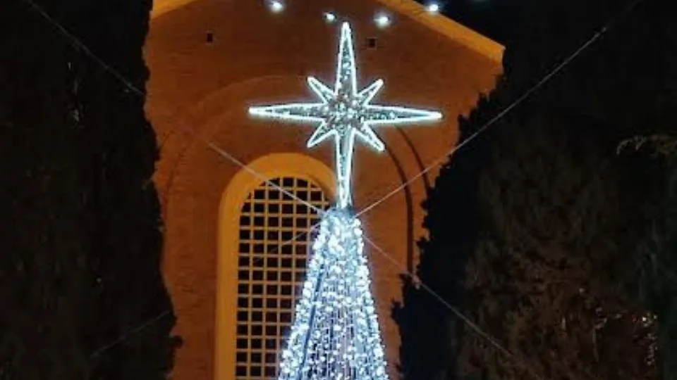 l’albero illuminato