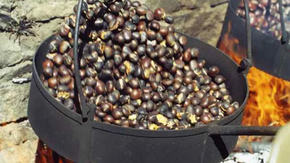 castagne
