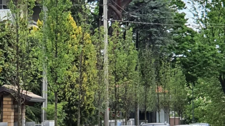 centro studi