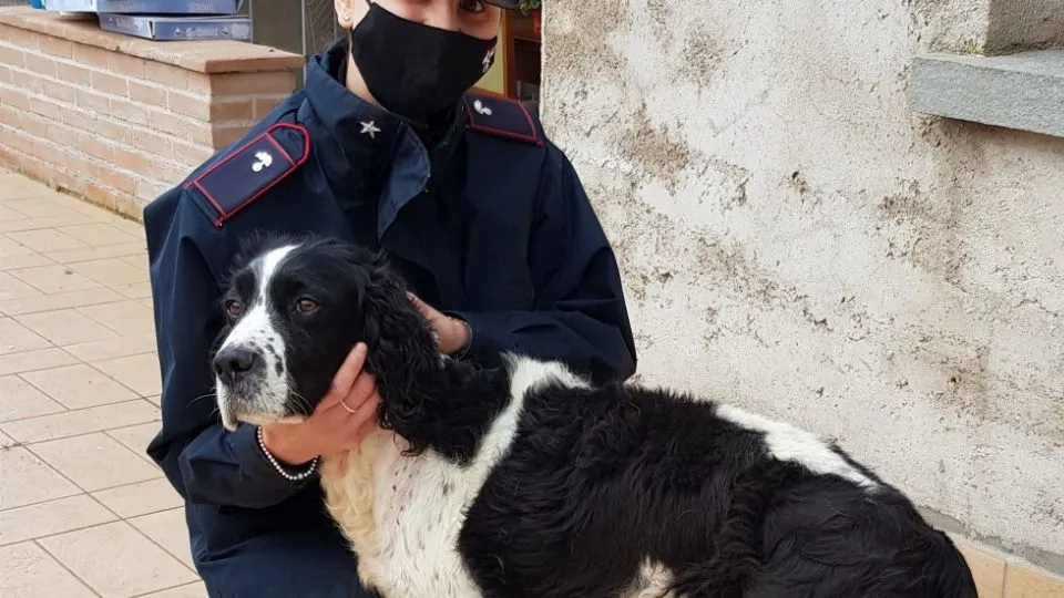 il ritrovamento di Max