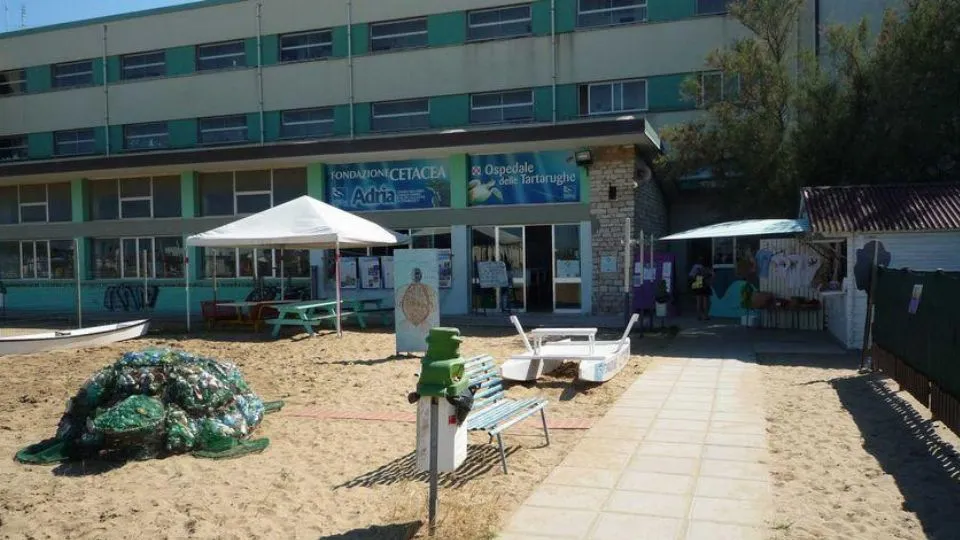 la sede di Cetacea con l’ospedale delle tartarughe alla Bertazzoni
