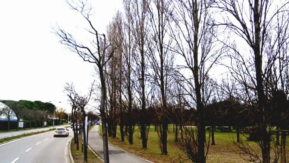 il parco della Cava
