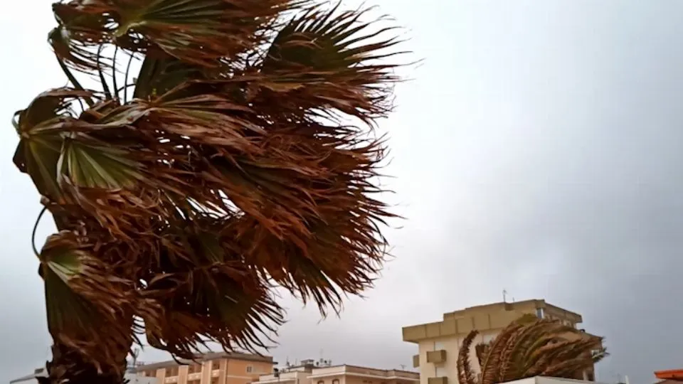 Pioggia e bora sulla costa e neve in collina. E’ arrivata la coda invernale