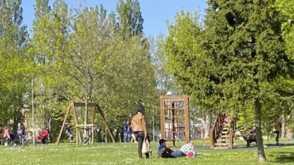 il parco
