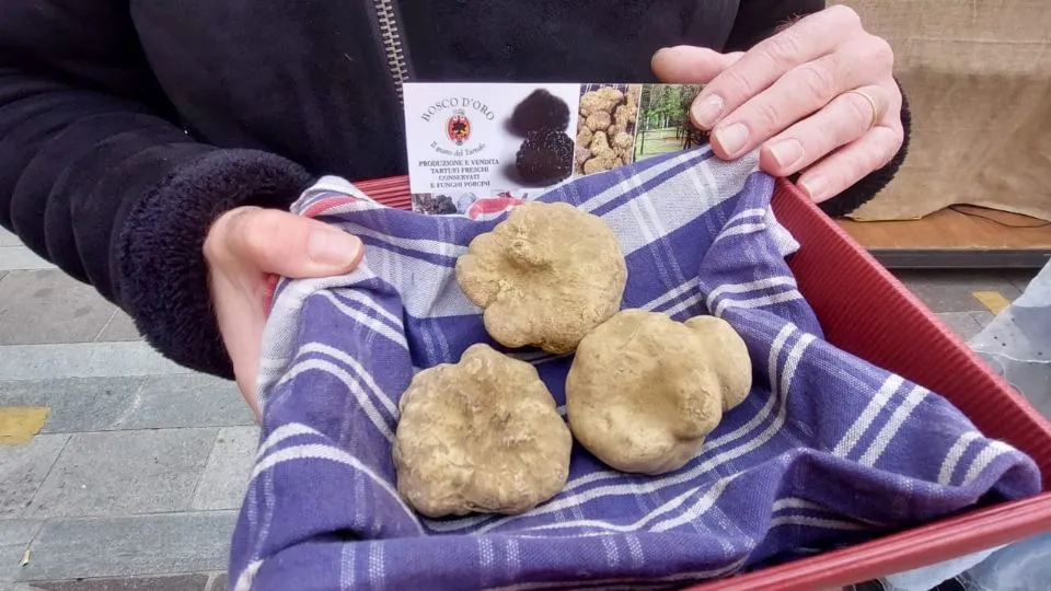 il tartufo premiato