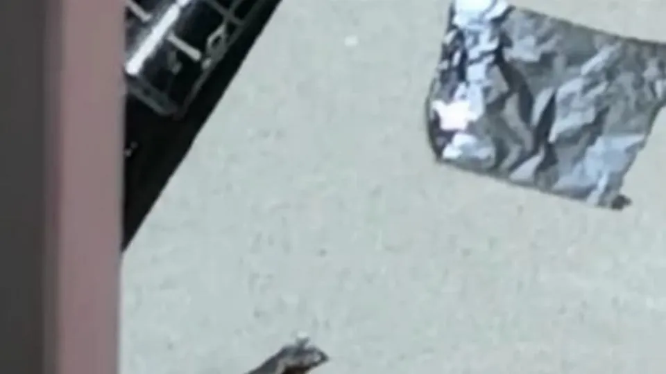 foto inviata da un residente della zona 
