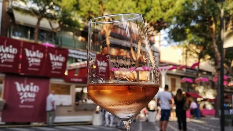 Wein Tour 22