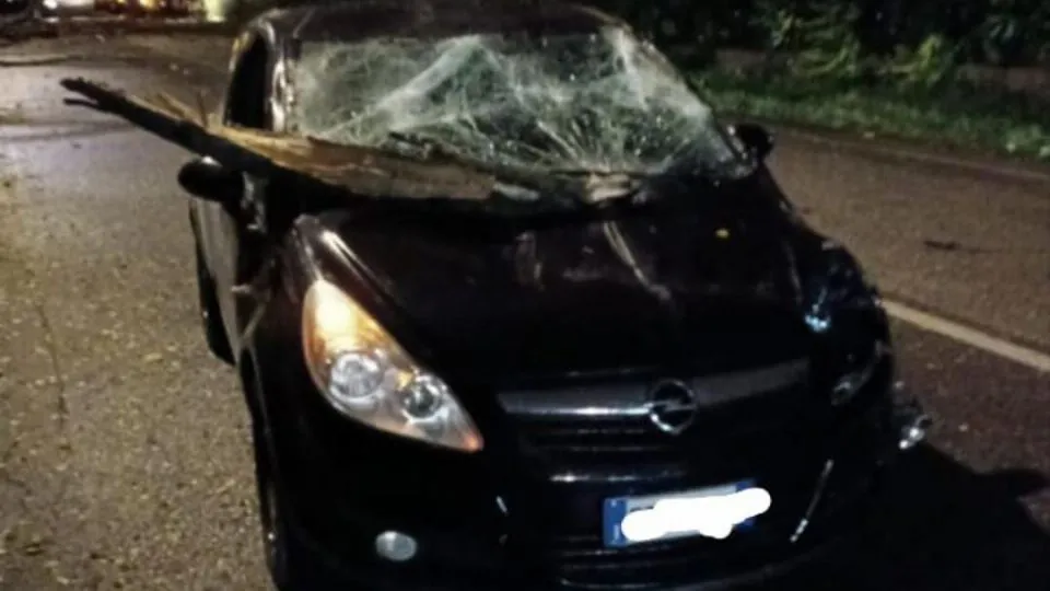il ramo caduto sull’auto in via Tortona
