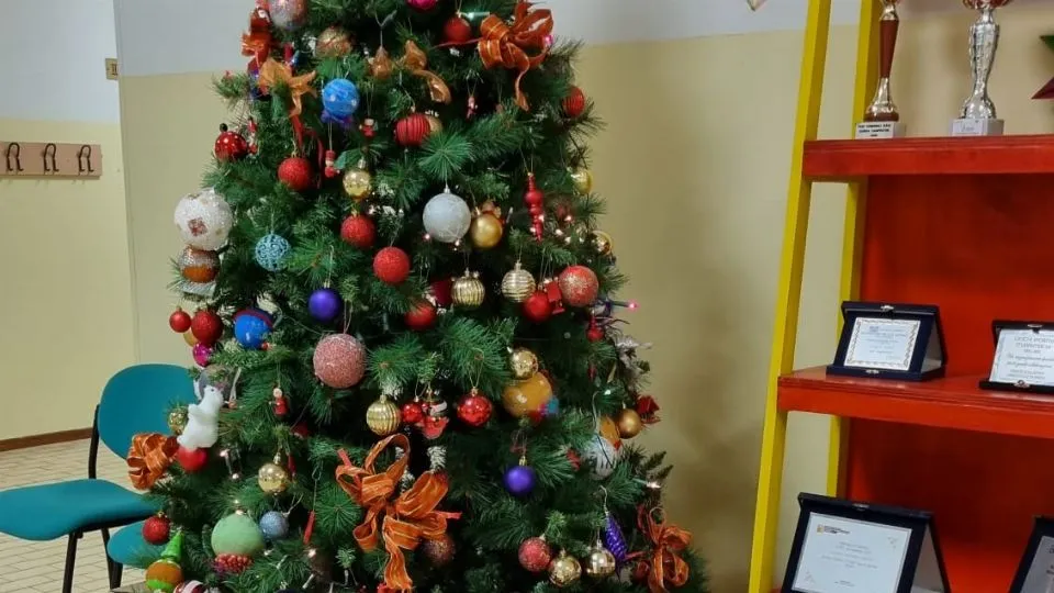 l’albero dove vengono raccolti gli indumenti invernali