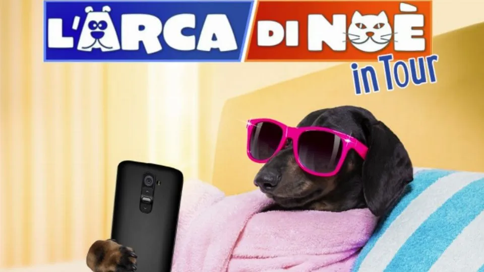 dal fb Le Befane
