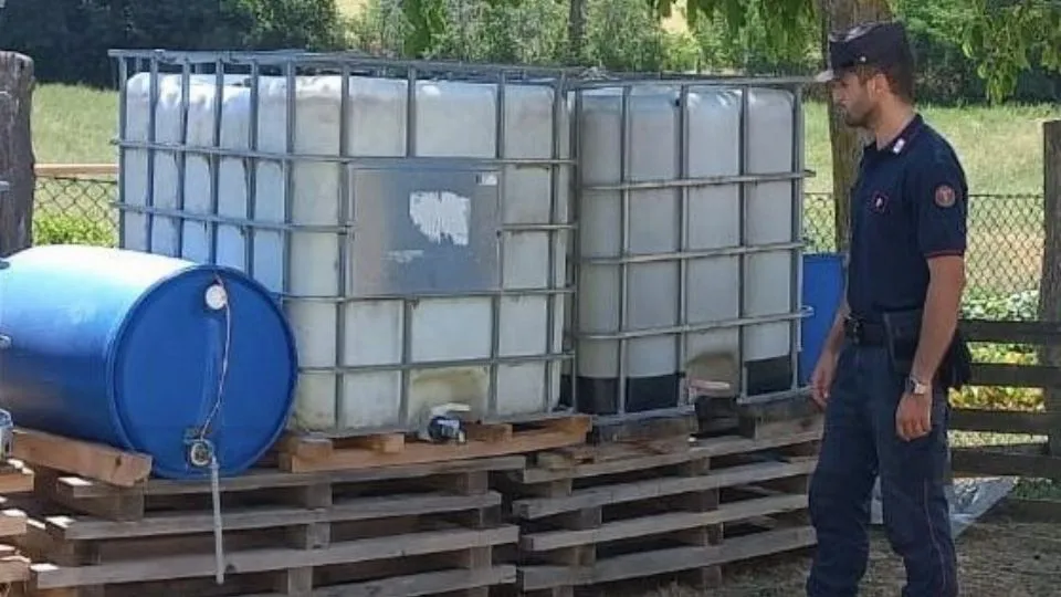 i controlli dei carabinieri forestali
