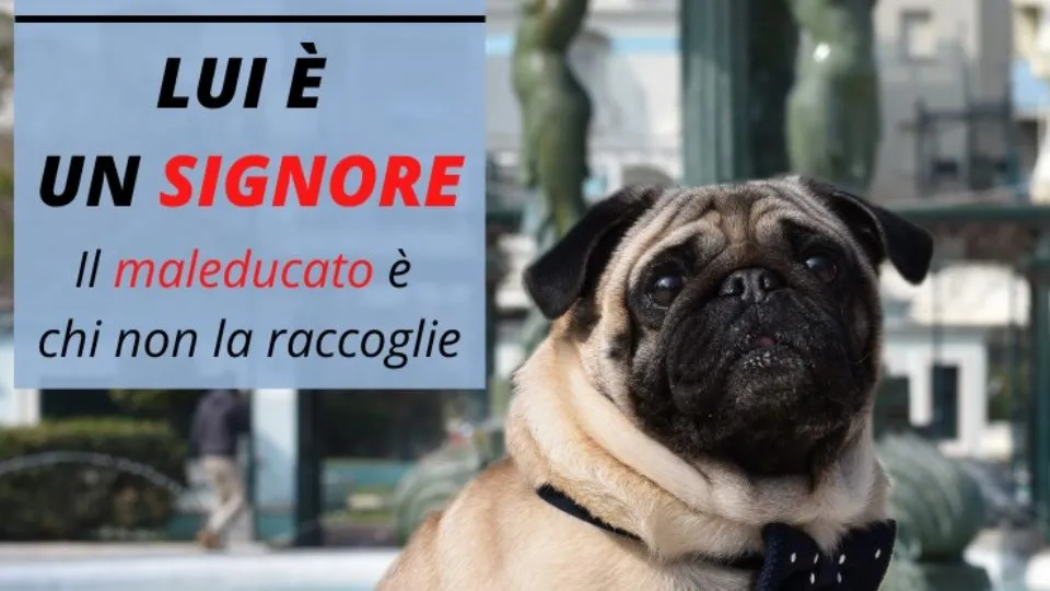 il manifesto