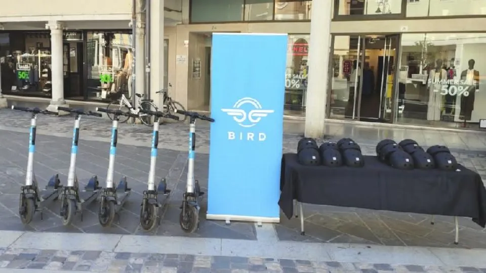 la postazione Bird