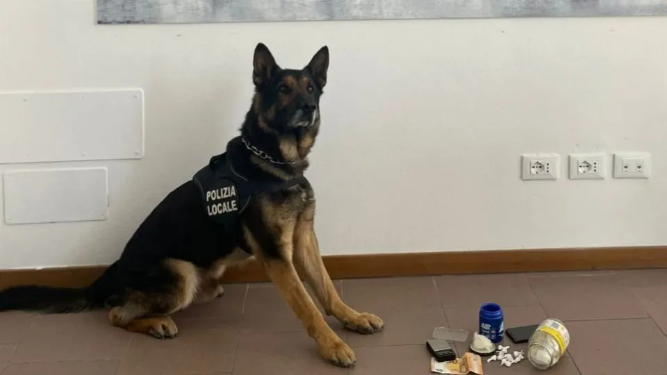 il cane antidroga Bruce con la cocaina sequestrata