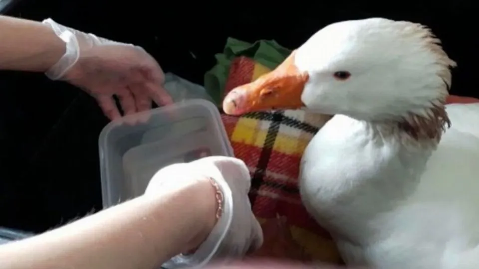 dalla pagina FB del Cras
