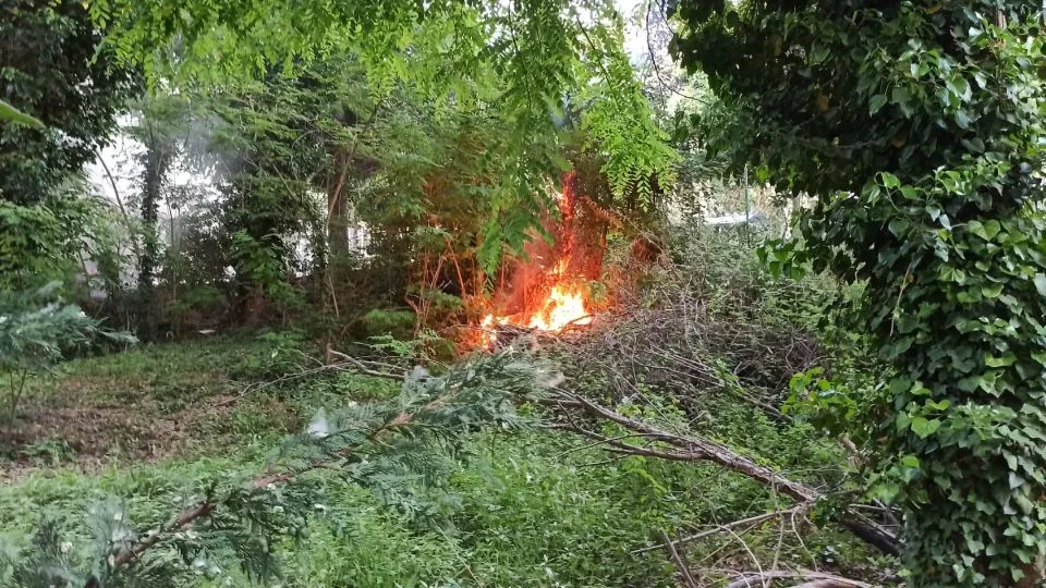 le fiamme al Parco Marecchia
