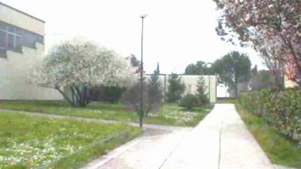 la scuola Zoebeli