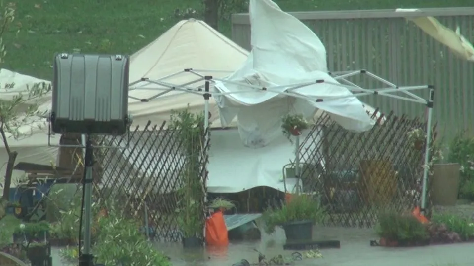 Giardini d’autore oggi (Newsrimini)
