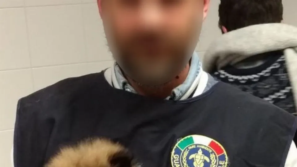 cuccioli sequestrati